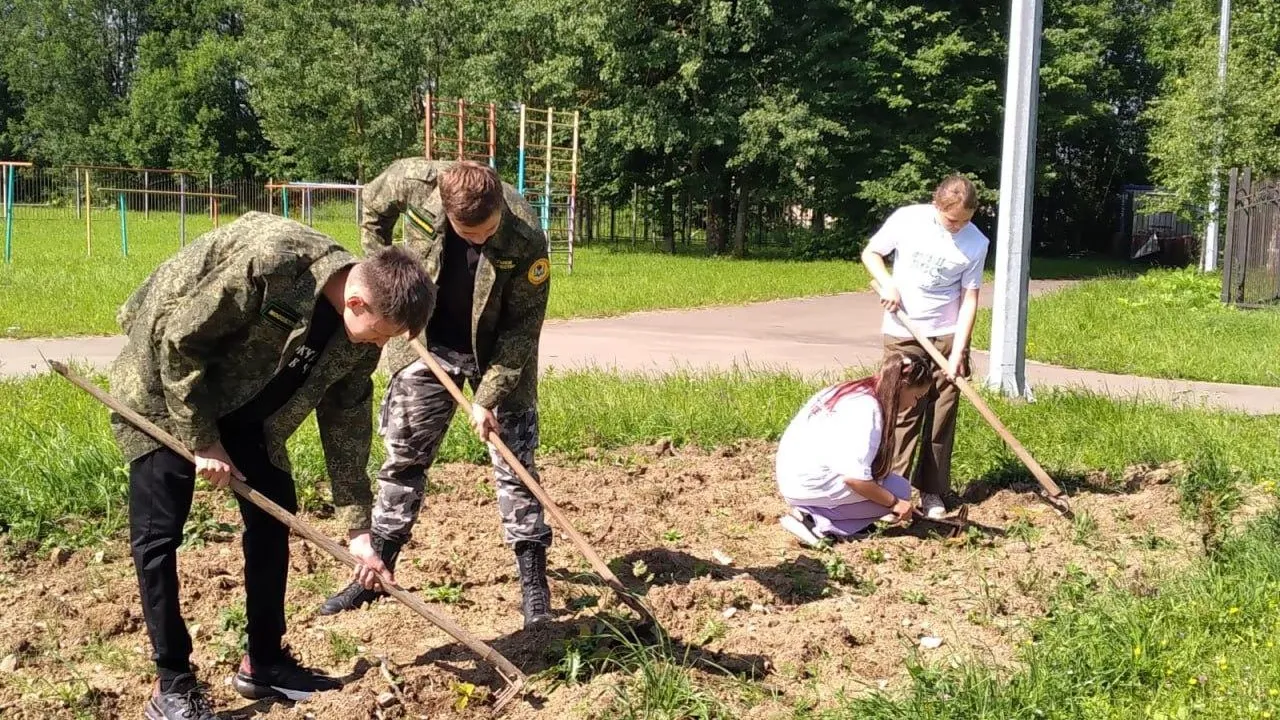 Фото: Комитет лесного хозяйства Московской области