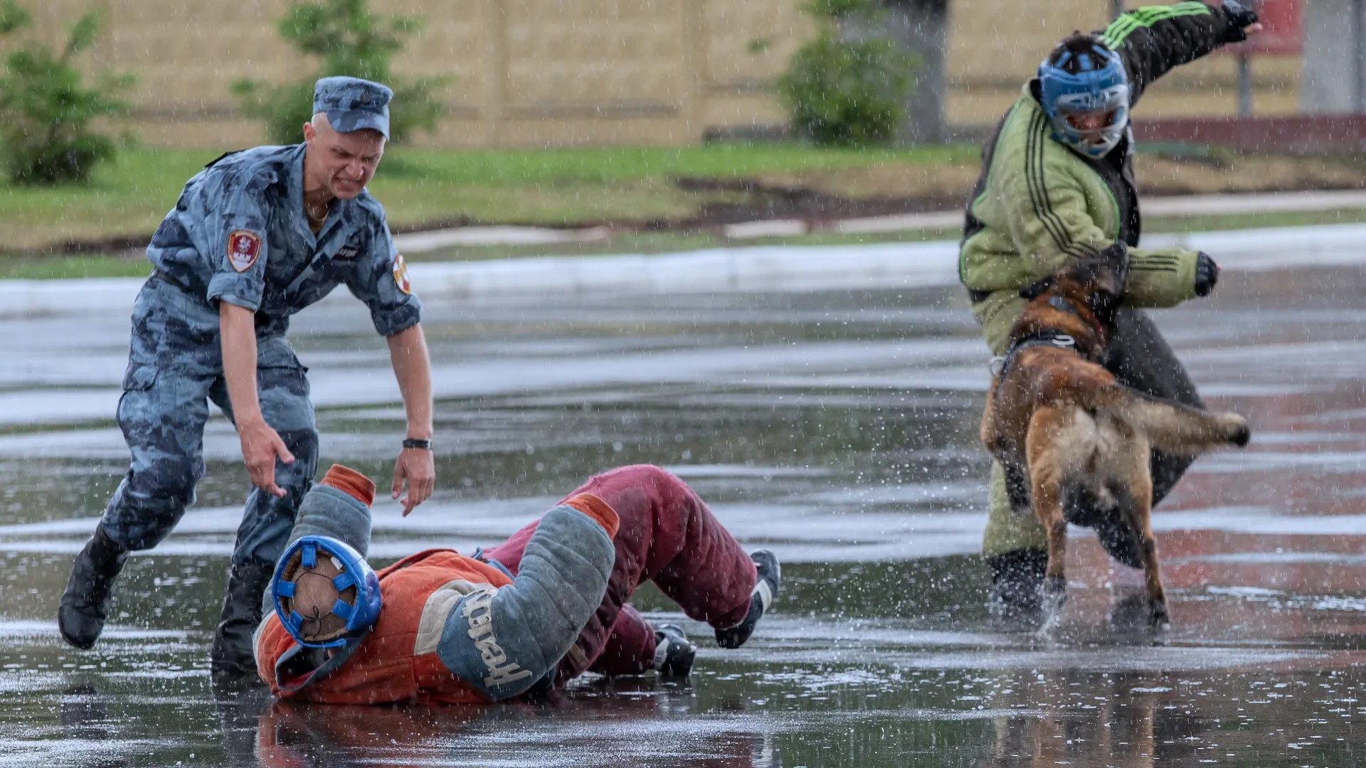 Фото: REGIONS/Максим Зубарев