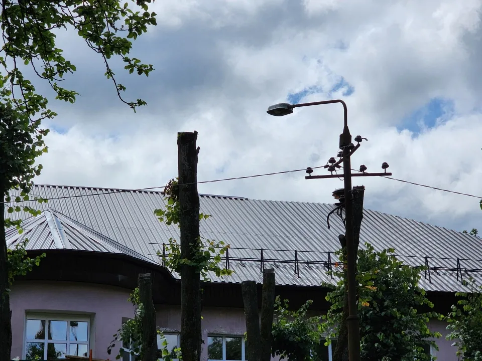 Фото: Дмитрий Алексеенко