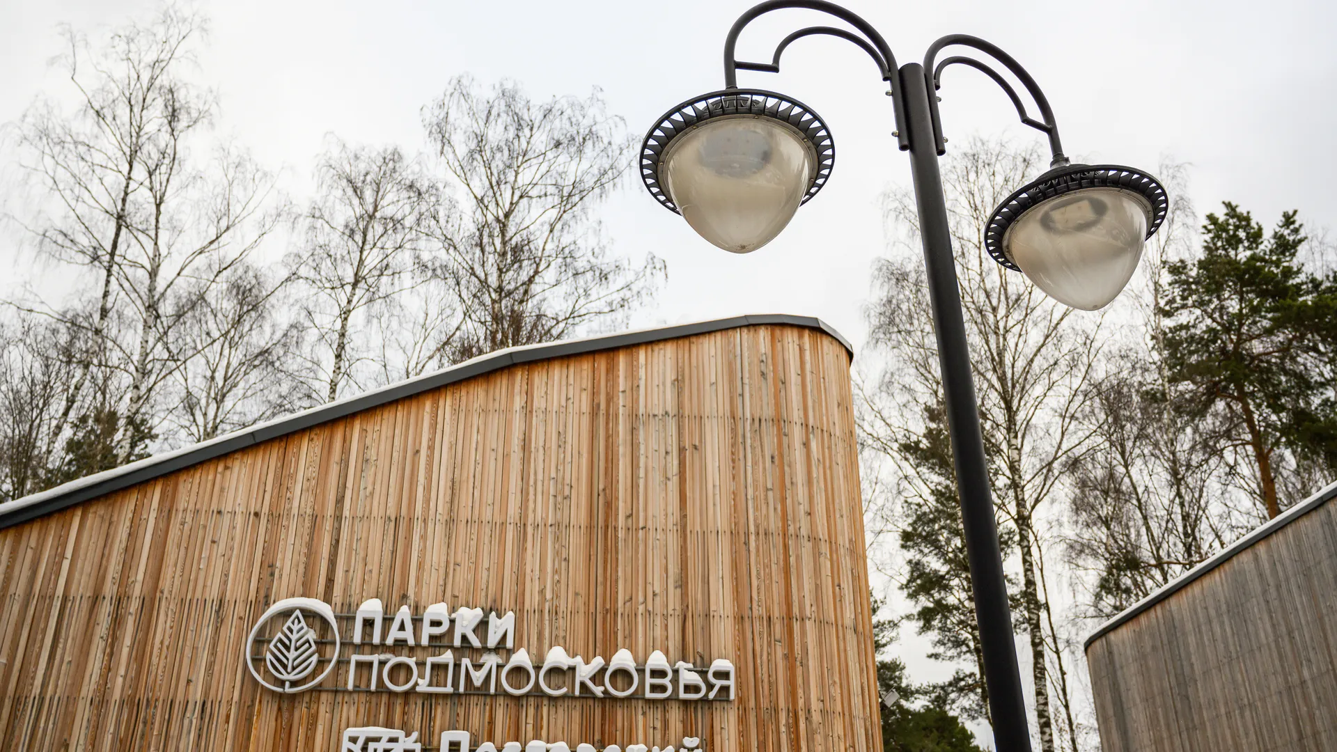 Зимний Пестовский парк в Балашихе