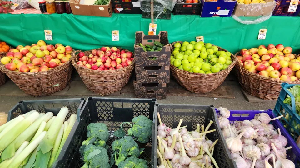 Фото: МедиаБанк Подмосковья/Хавива Фонина