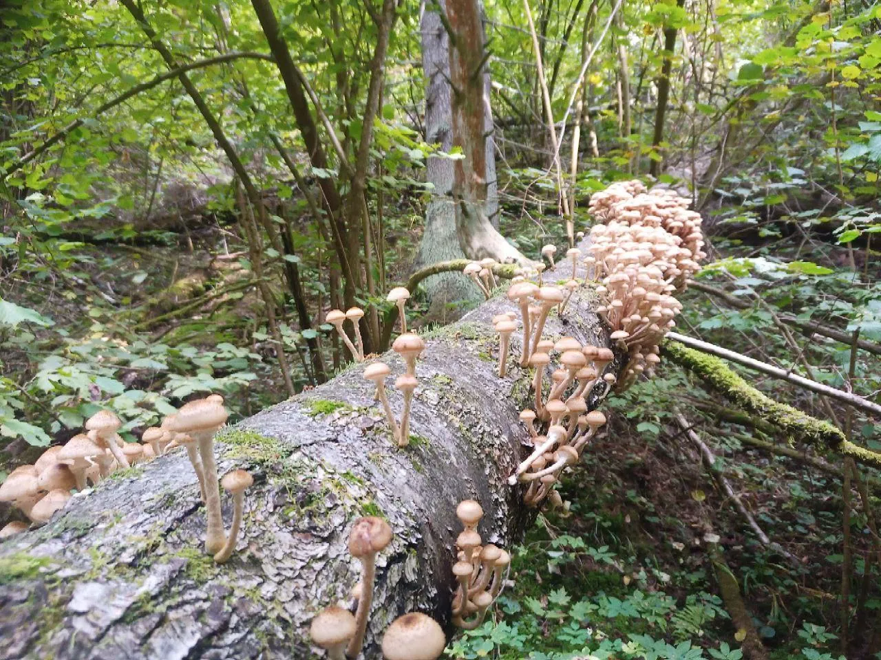 фото: Мария Панина