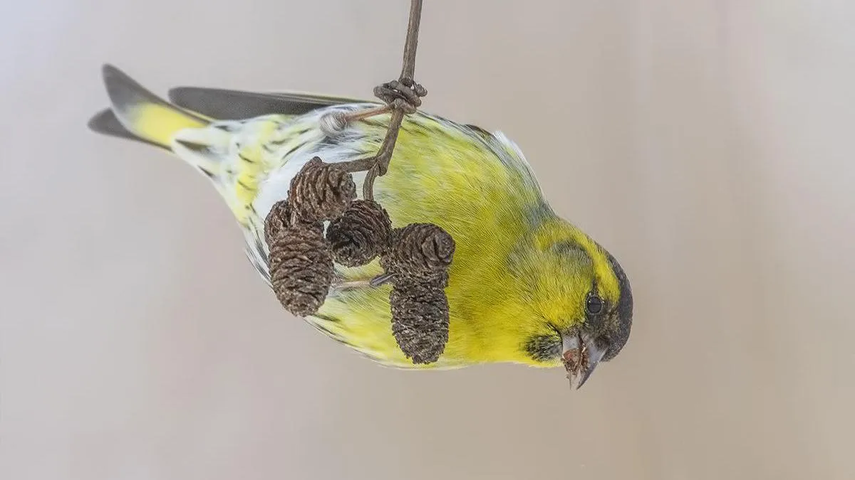 личный архив Елены Швыдун