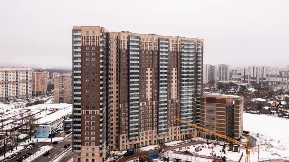 Фото: Вектор