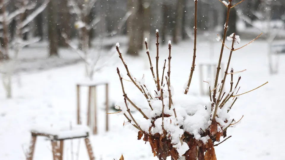 Фото: Ольга Пятикрестовская
