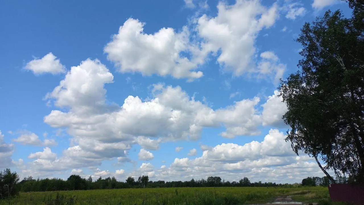 Фото: Олег Книжник