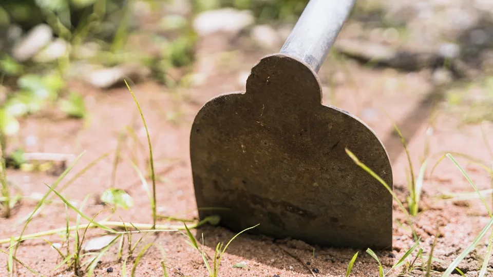 Фото: freepik.com