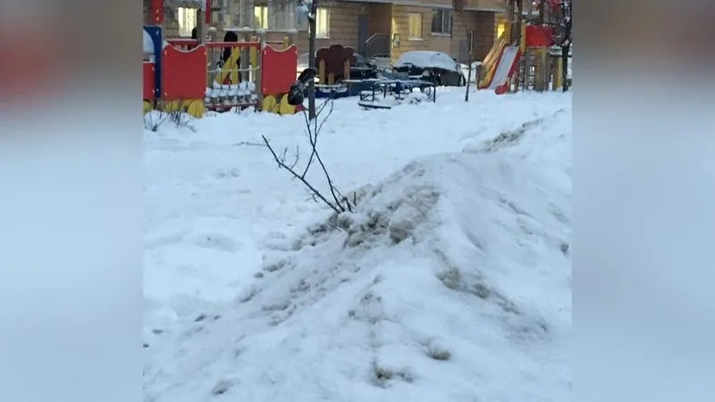 Жители Лосино-Петровского объявили войну вандалам-коммунальщикам