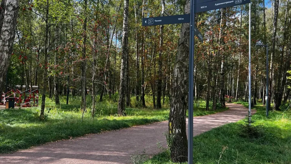 Фото: пресс-служба администрации м.о. Чехов