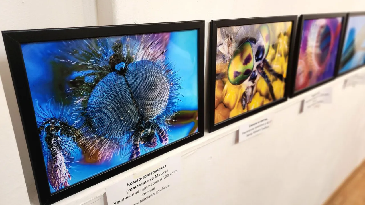 Мария Овчинникова