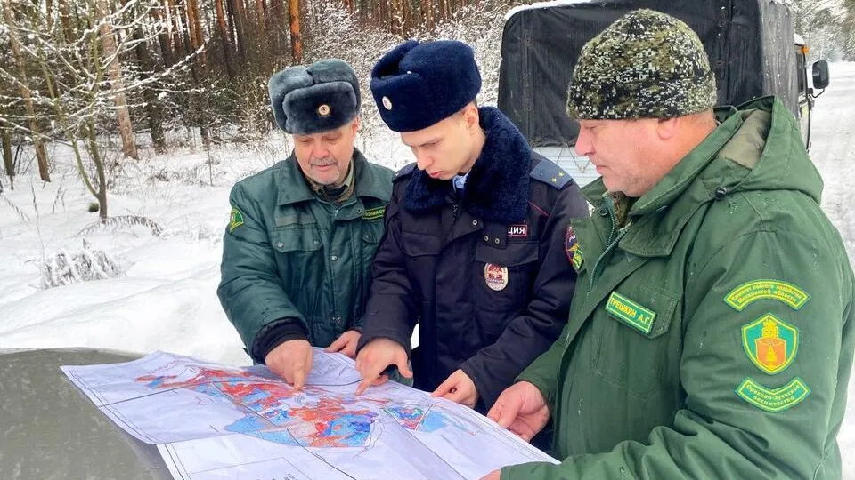 Фото: Комитет лесного хозяйства Московской области