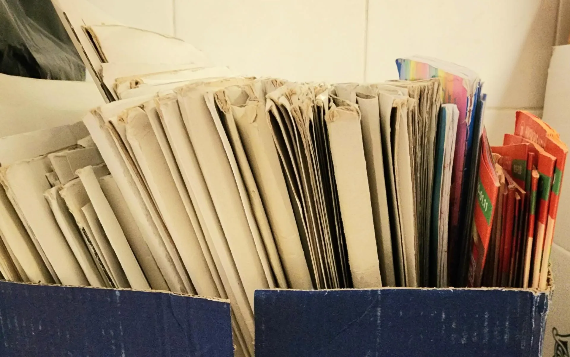 Фото: Анастасия Сараева