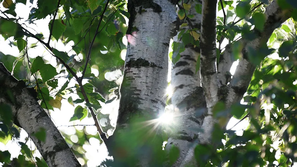 Фото: РИА Новости/Рамиль Ситдиков