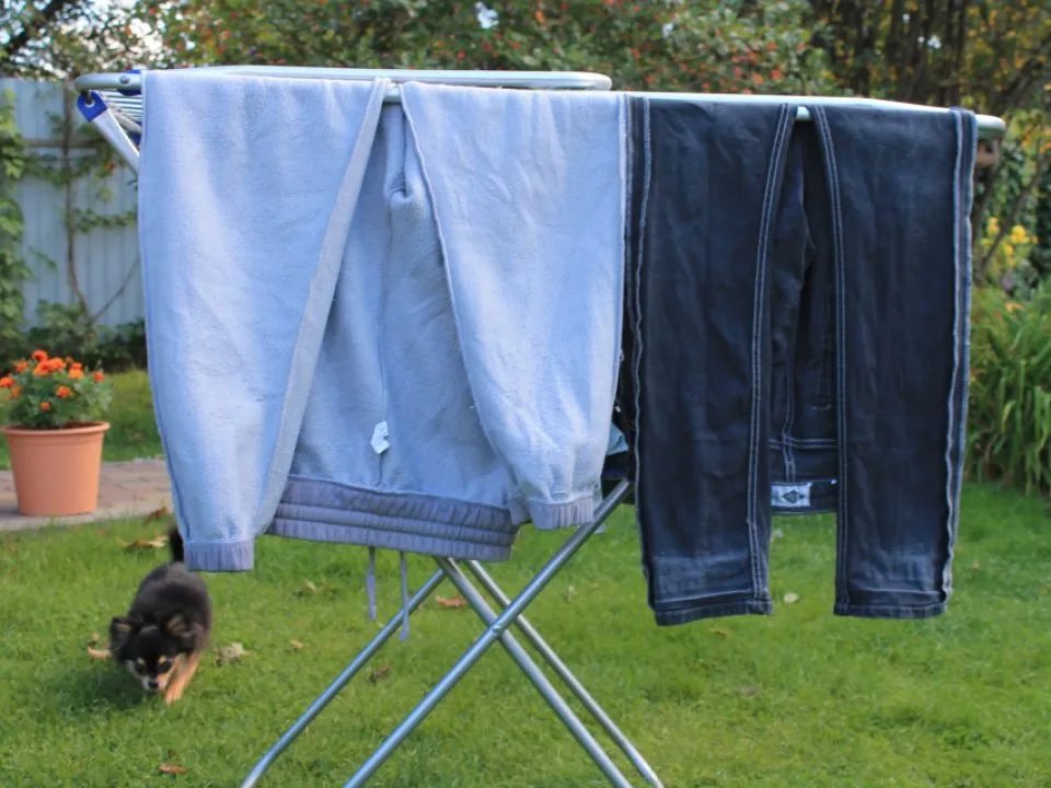 Фото: REGIONS/Илья Попов