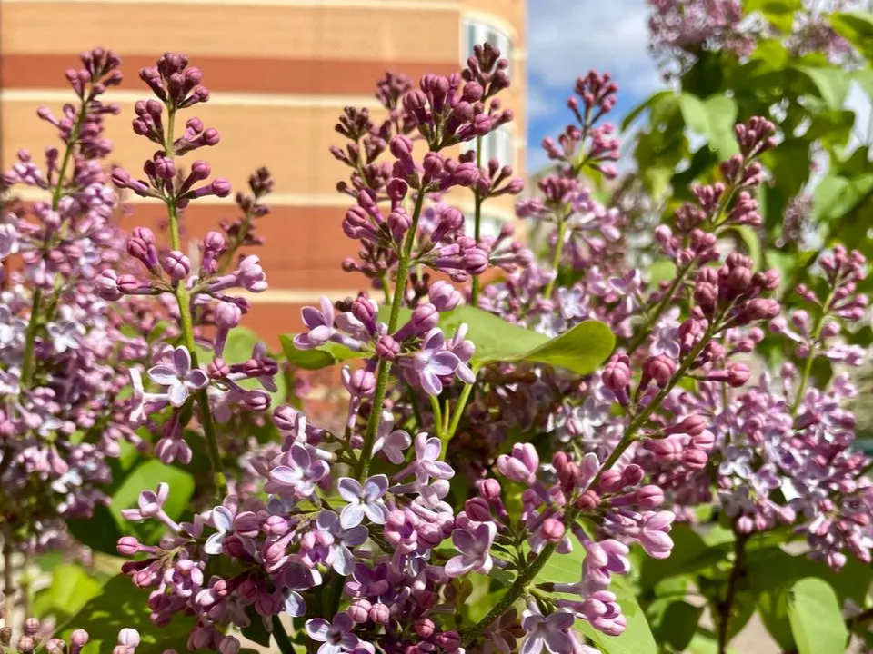 Фото: ТВ «Угреша»