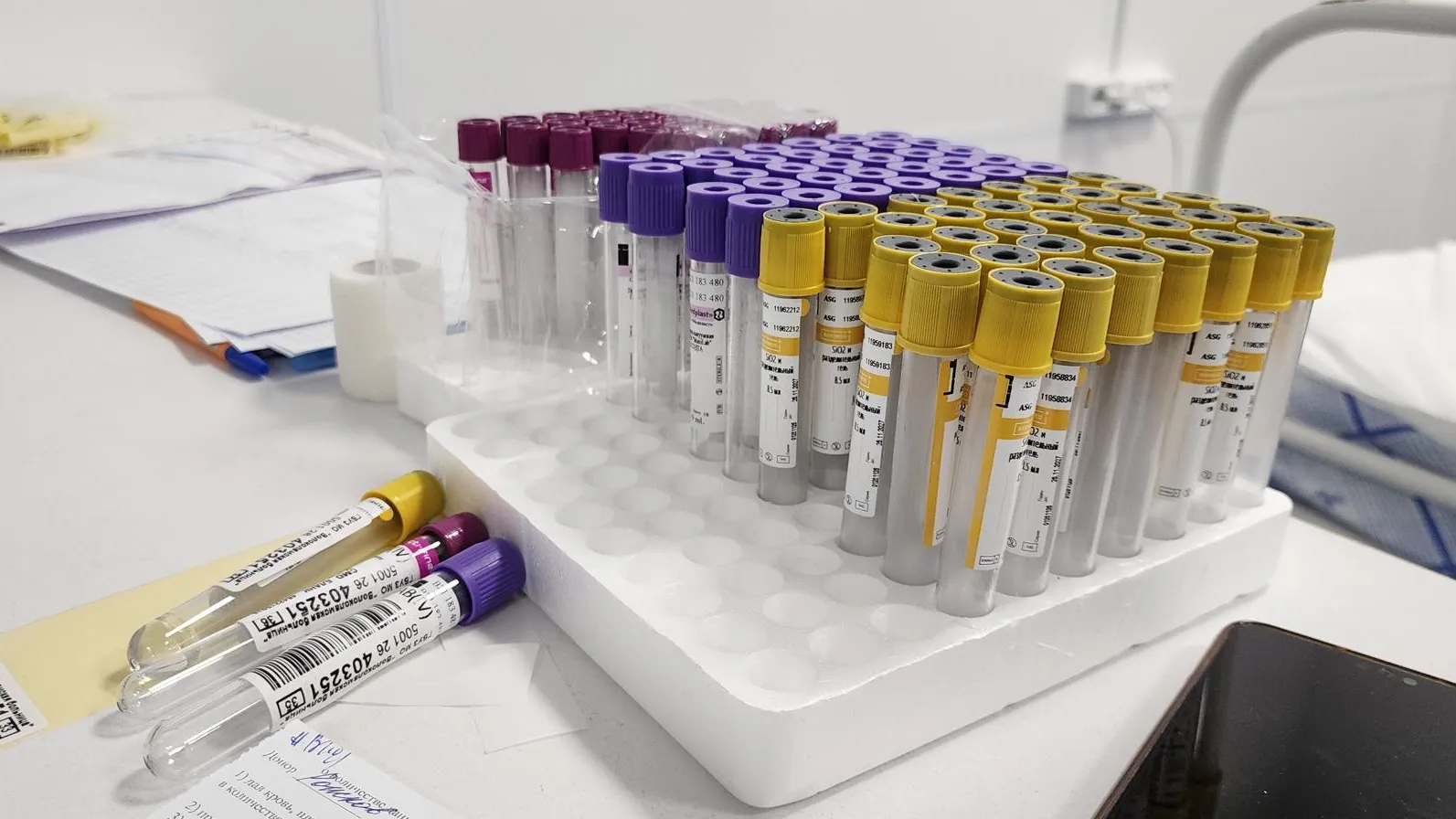 МедиаБанк Подмосковья/Екатерина Морозова