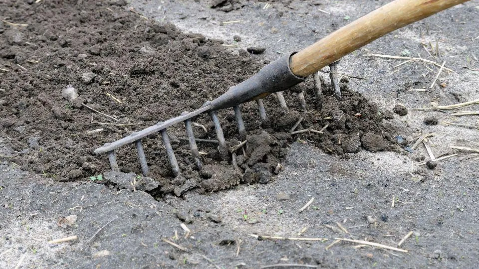 istockphoto.com/Arseniy Bobrov