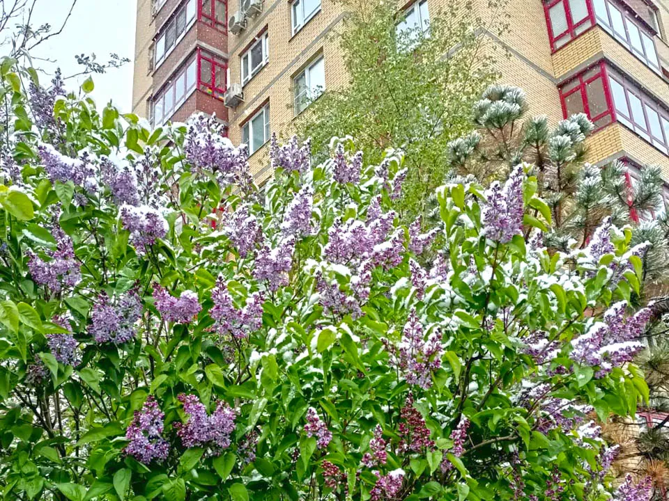 Фото: Алексей Федосов