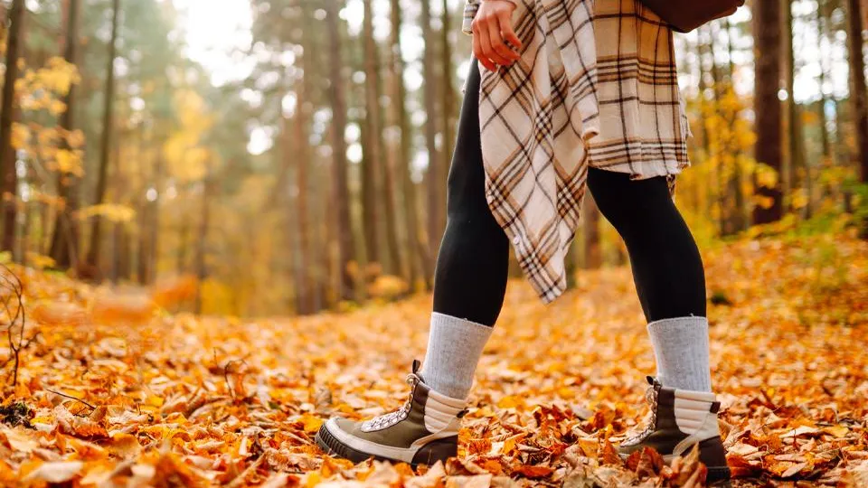 Фото: istockphoto.com/Maksym Belchenko