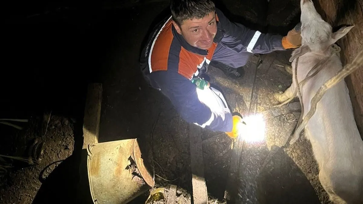 Фото: ГКУ МО «Мособлпожспас»