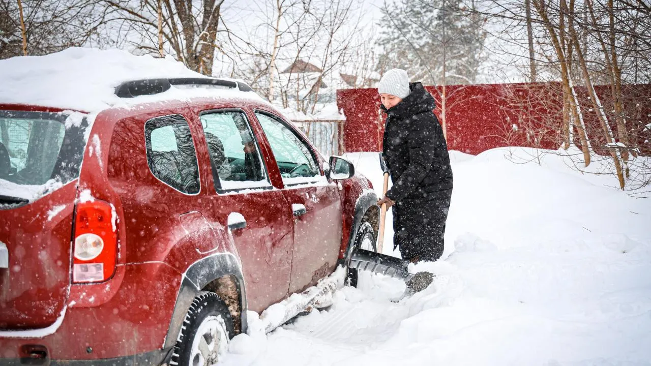 МедиаБанк Подмосковья/Данила Кирьянов