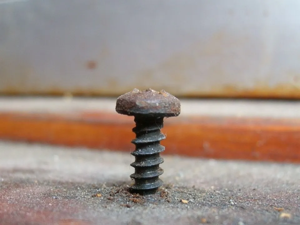 Фото: pxhere.com