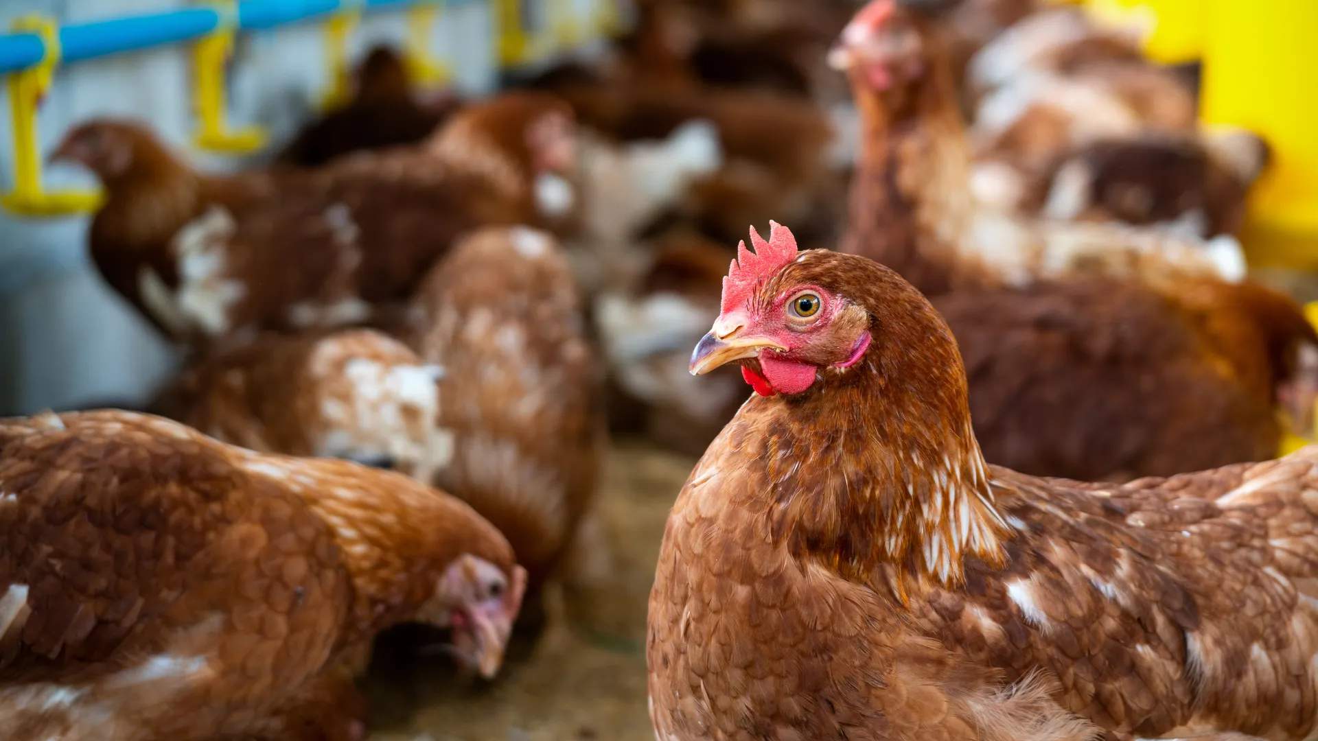 Фото: freepik.com