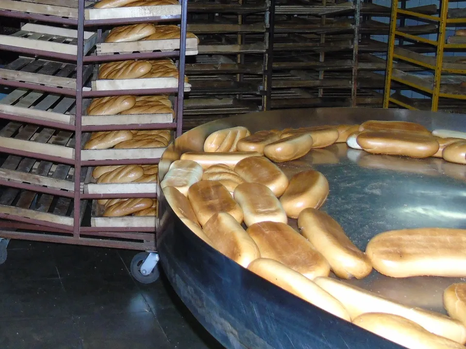 Фото: REGIONS/Наталья Дорофеева