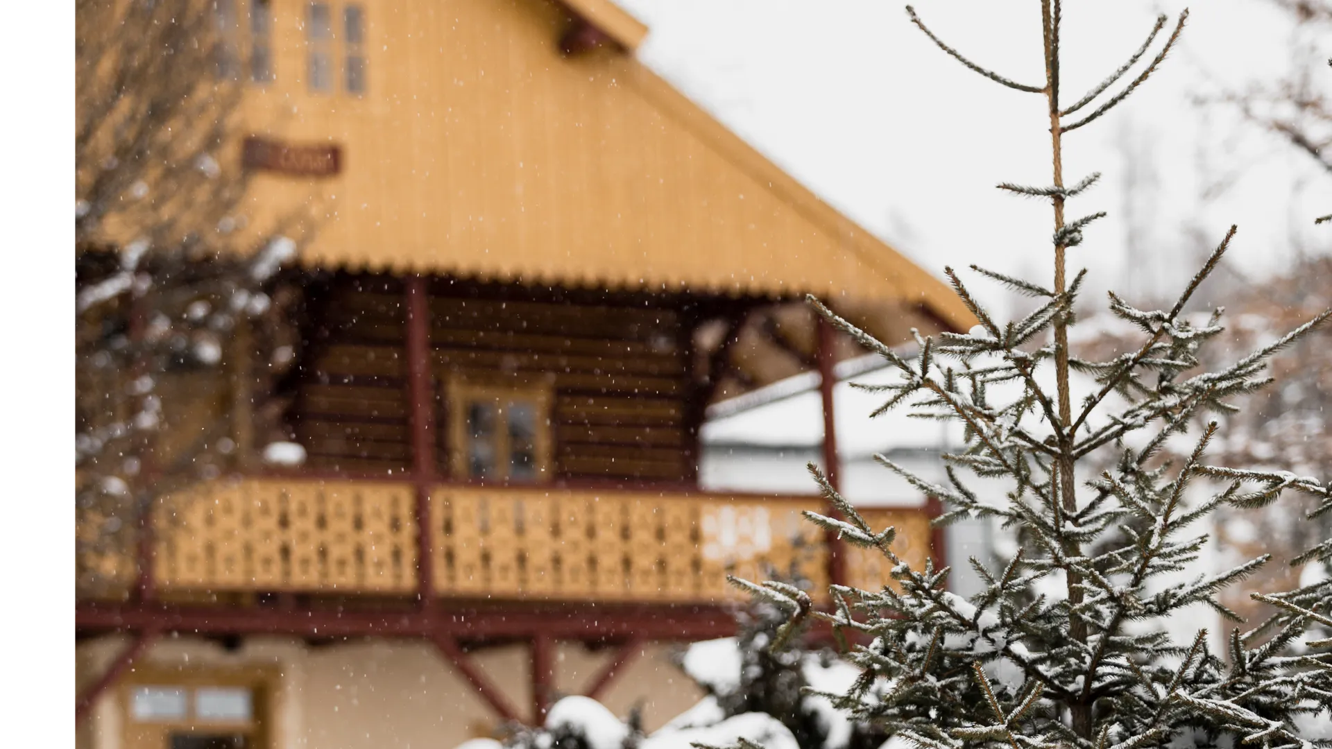 Источник: Freepik