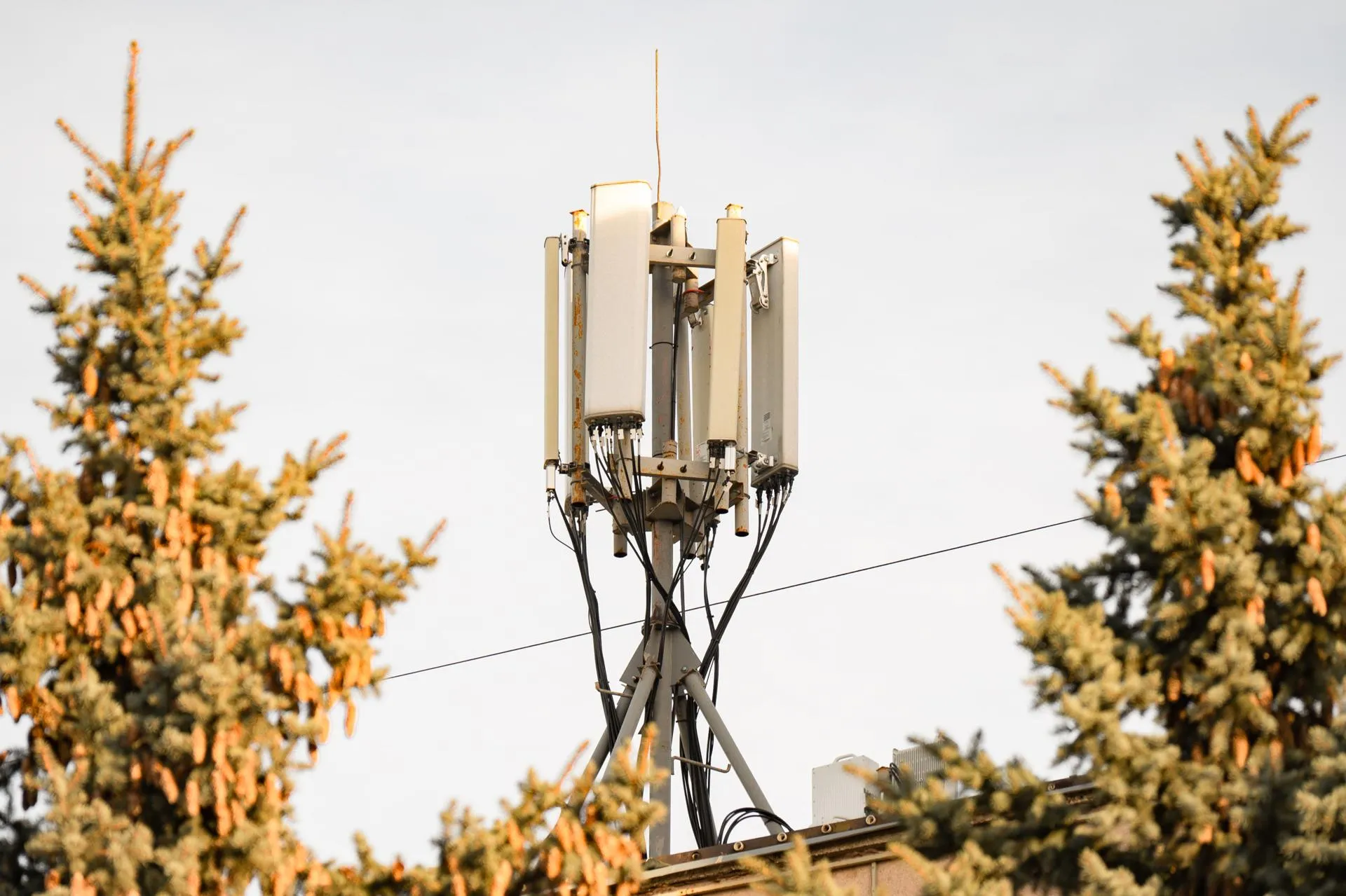 Ruslan Yarotsky/URA.RU