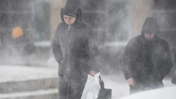 Максим Богодвид / РИА Новости