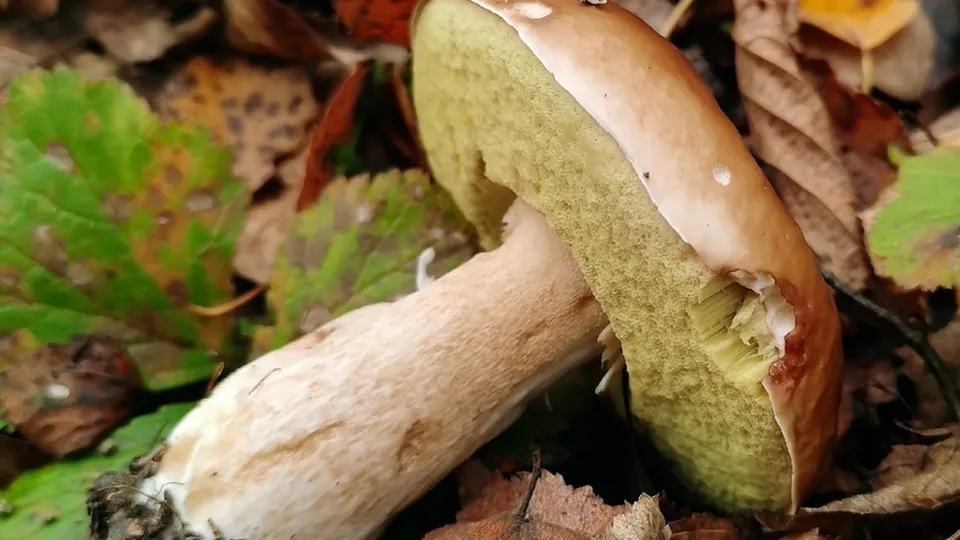 Фото: Константин Кошелев