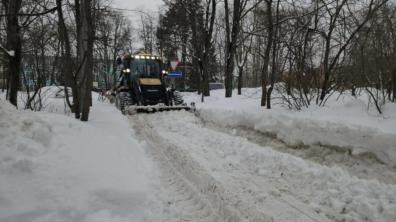 REGIONS/Валерия Тингаева