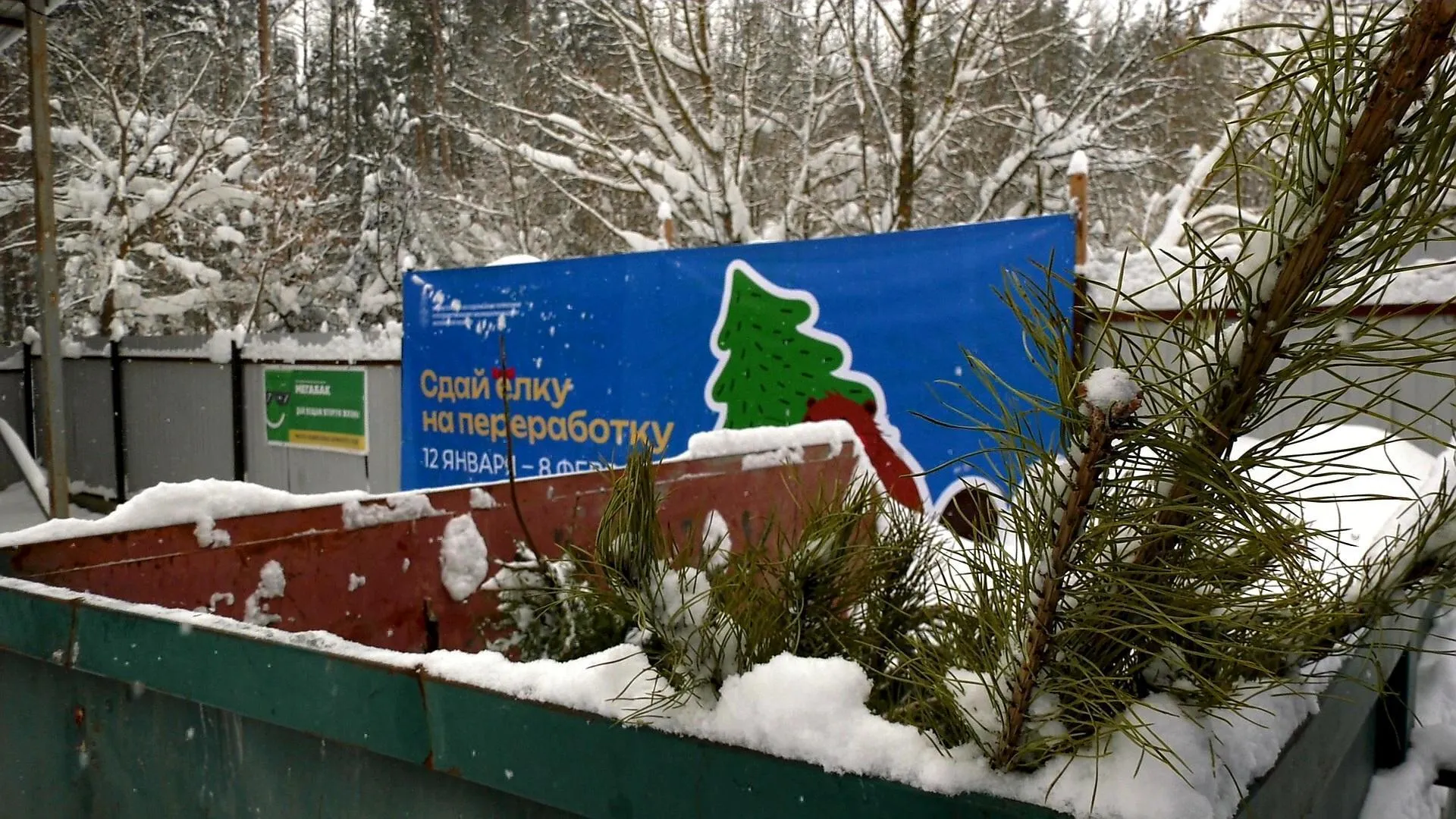 МедиаБанк Подмосковья/Юлия Андросова