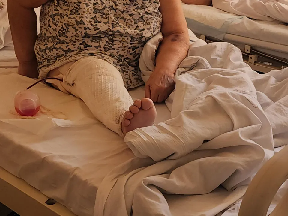 Фото: REGIONS/Артем Мишуков