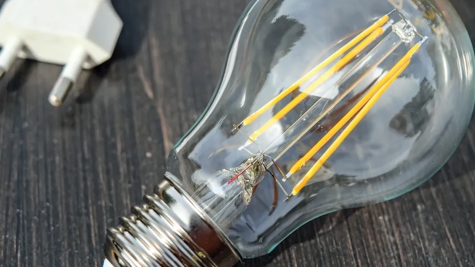 Фото: pxhere.com