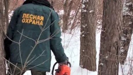 Фото: пресс-служба Комитета лесного хозяйства Московской области