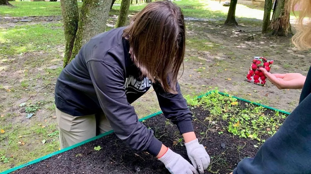 Фото: t.me/mbykrgoodpark