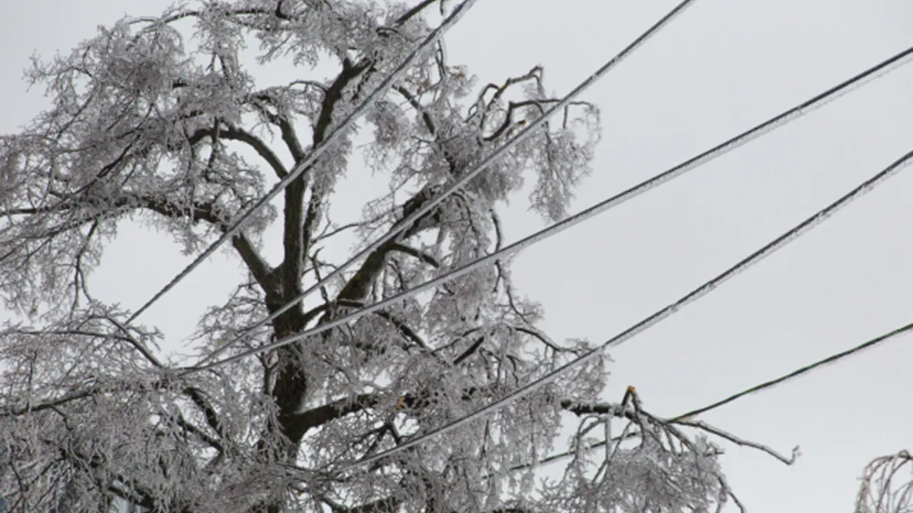 РИА Новости/Илья Аверьянов