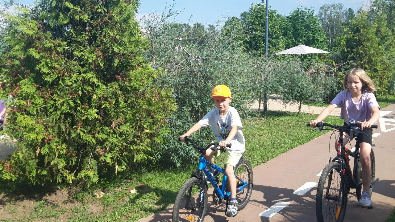 Фото: Министерство благоустройства Московской области