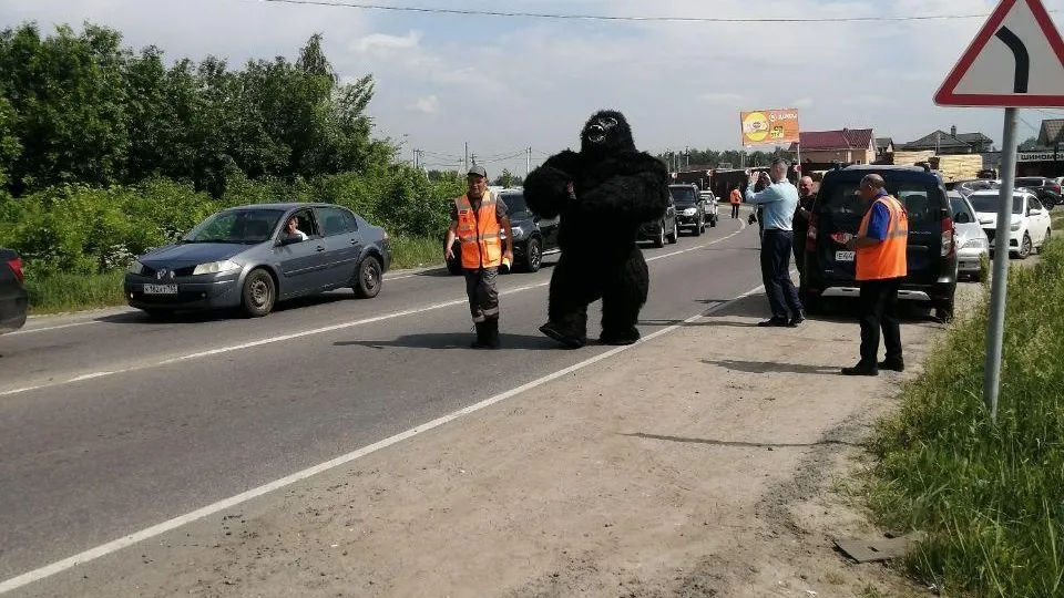 Фото: пресс-служба администрации Раменского округа