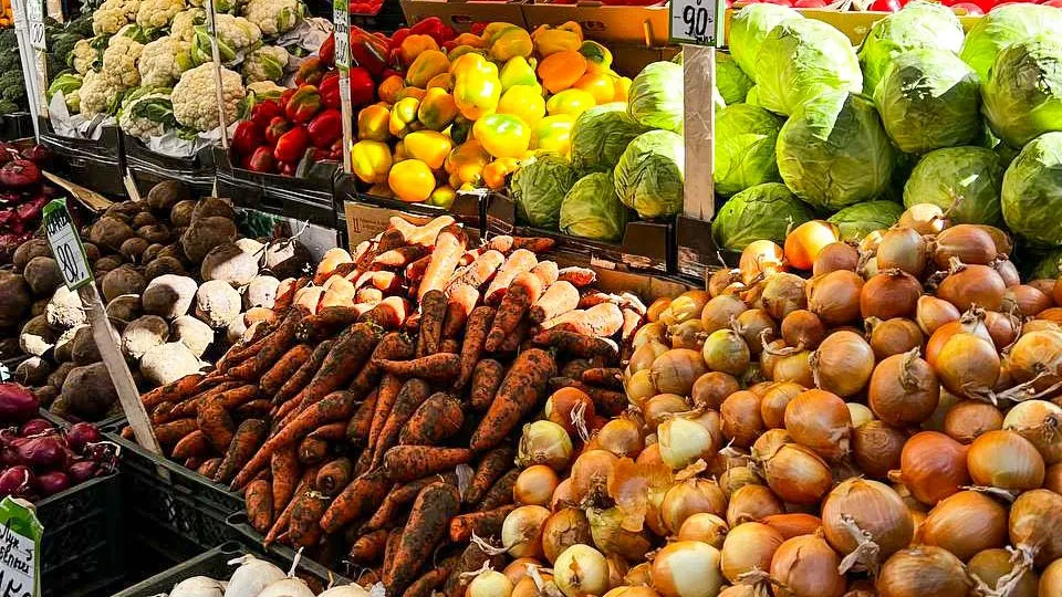 Фото: REGIONS/Максим Цыбуляк