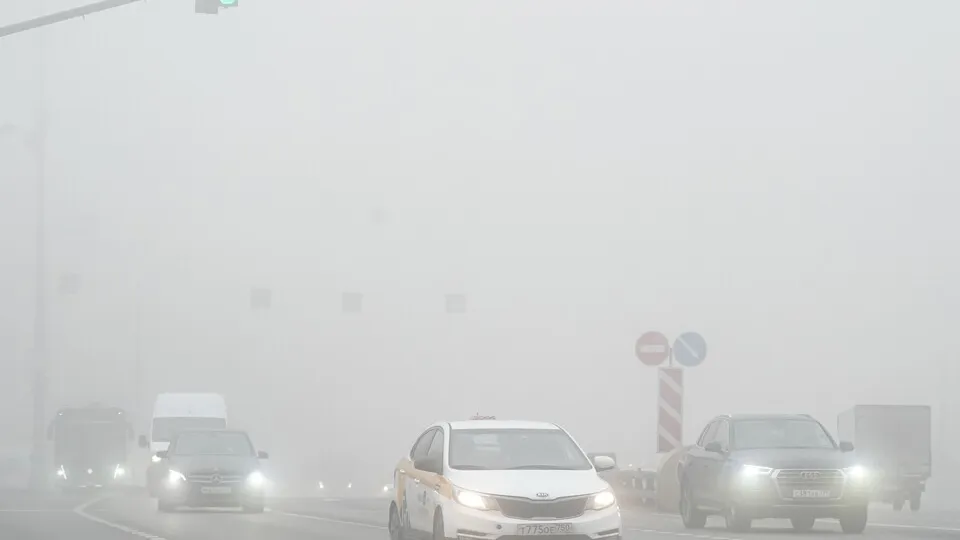 Фото: медиасток.рф