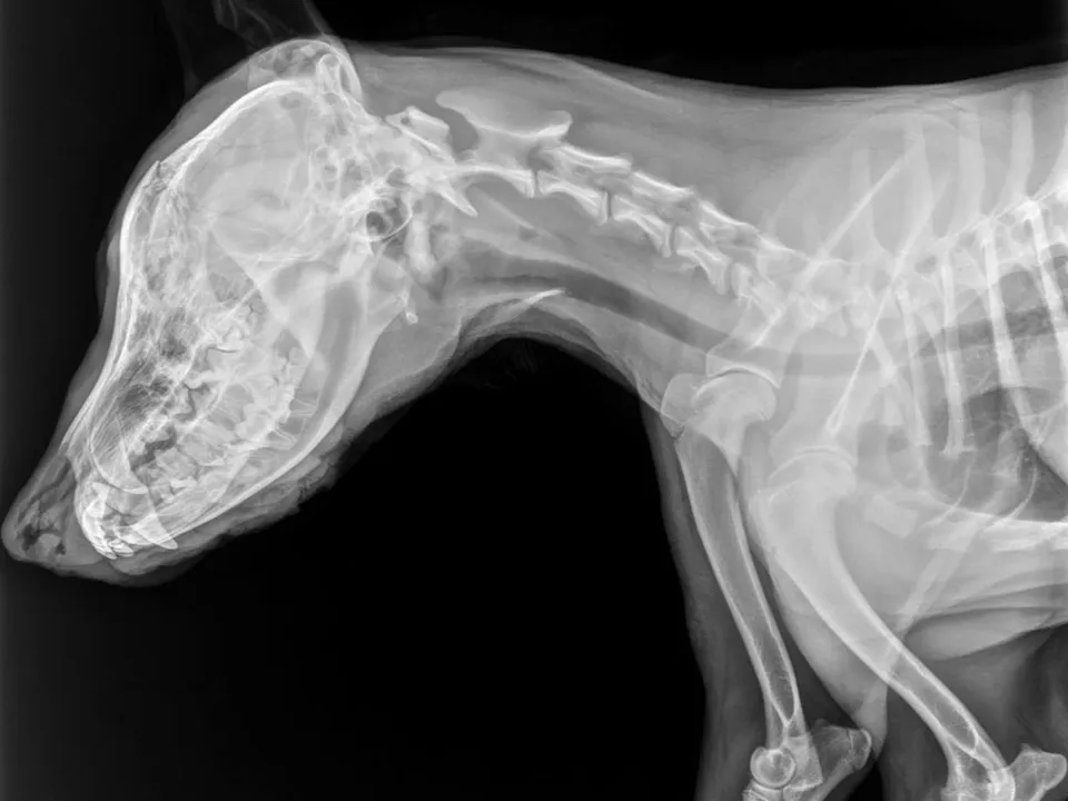 Фото: t.me/+bAuXhSVLDa40ZjM6