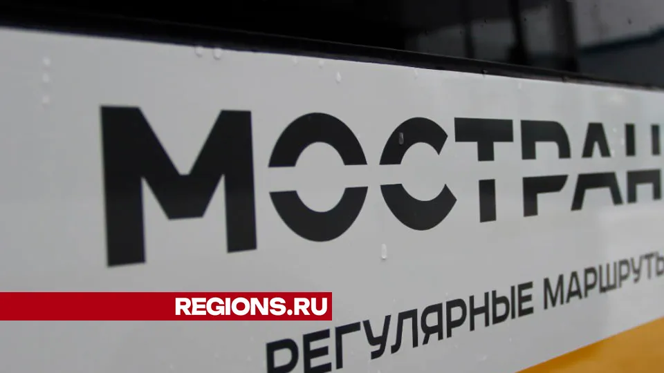 Фото: REGIONS/Василий Тремасов