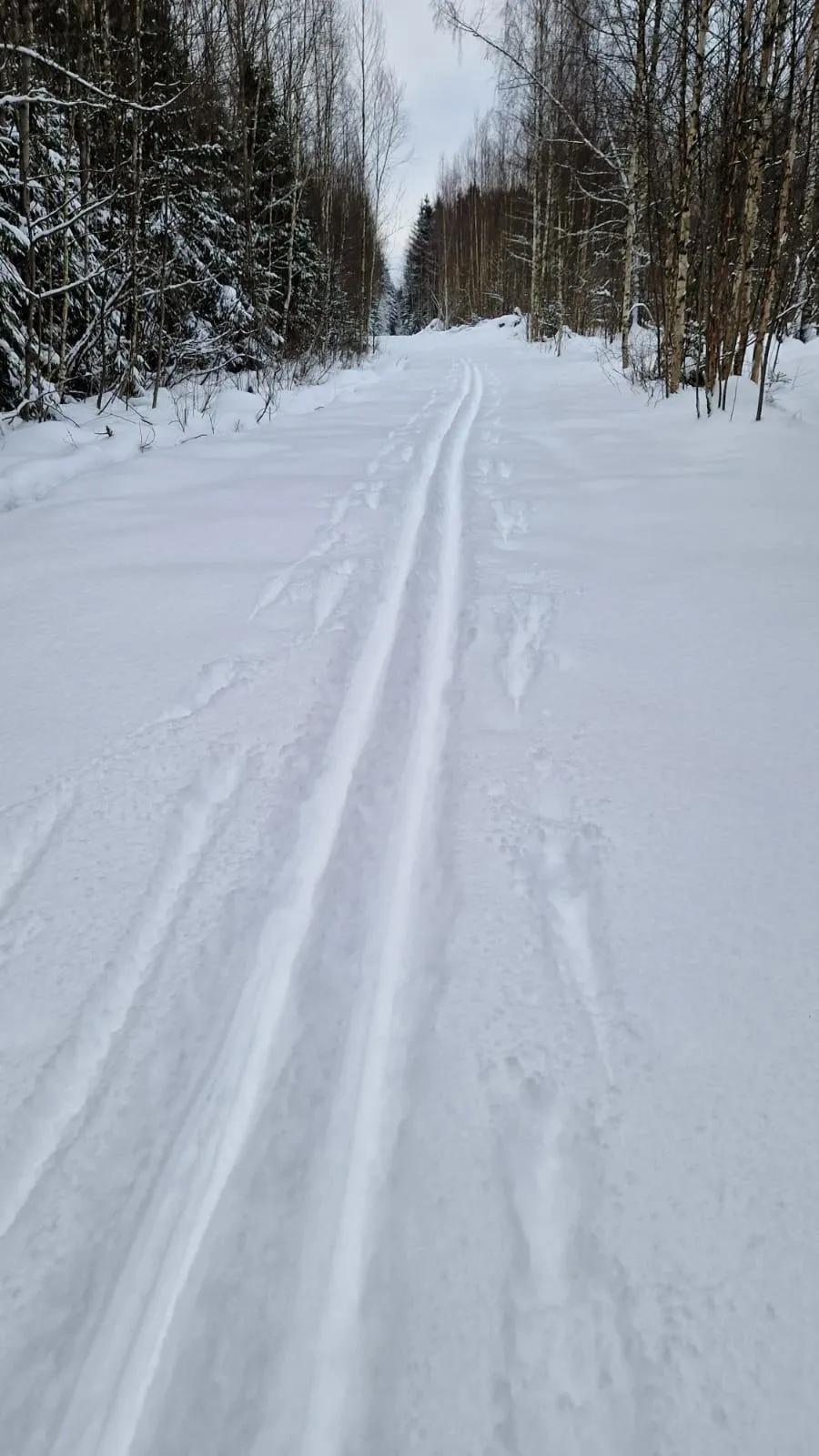 Фото https://vk.com/sokgabo