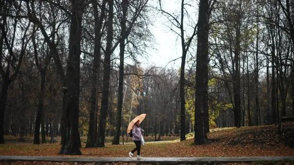 Дождь и до 12 градусов тепла ожидается в столичном регионе в воскресенье