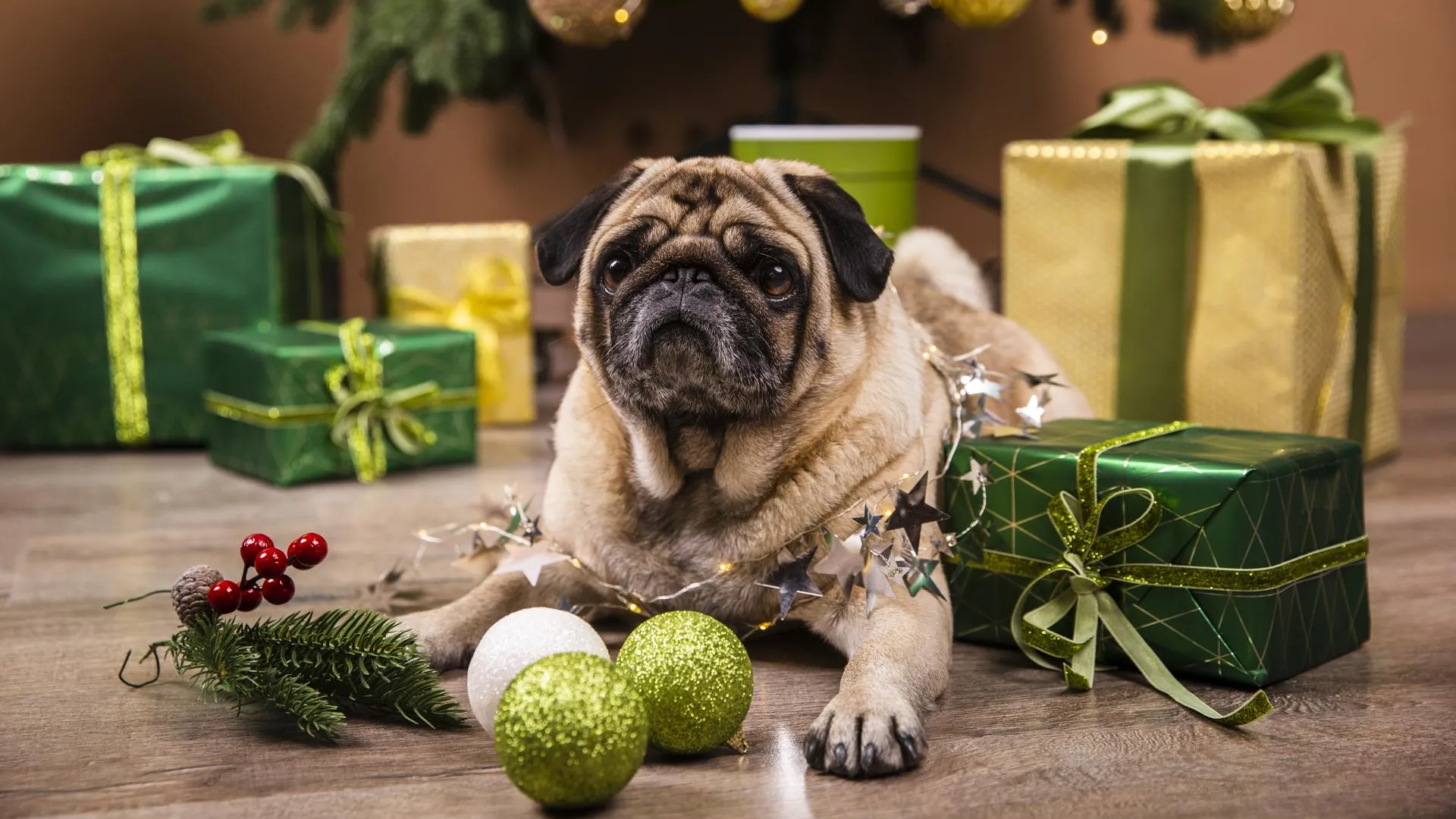 Изображение от Freepik