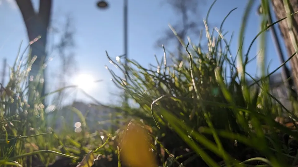 Фото: REGIONS/Алексей Селиверстов