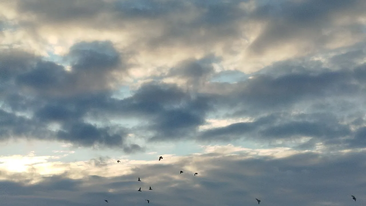 Фото: REGIONS/Юлия Куделькина